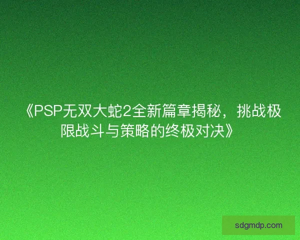 《PSP无双大蛇2全新篇章揭秘，挑战极限战斗与策略的终极对决》