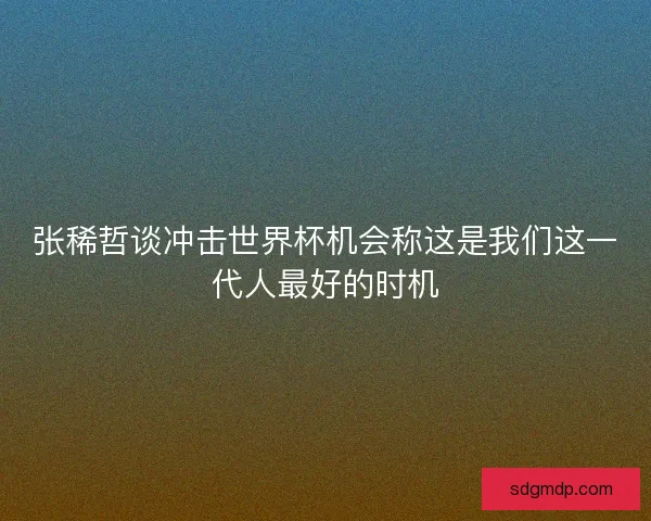 张稀哲谈冲击世界杯机会称这是我们这一代人最好的时机