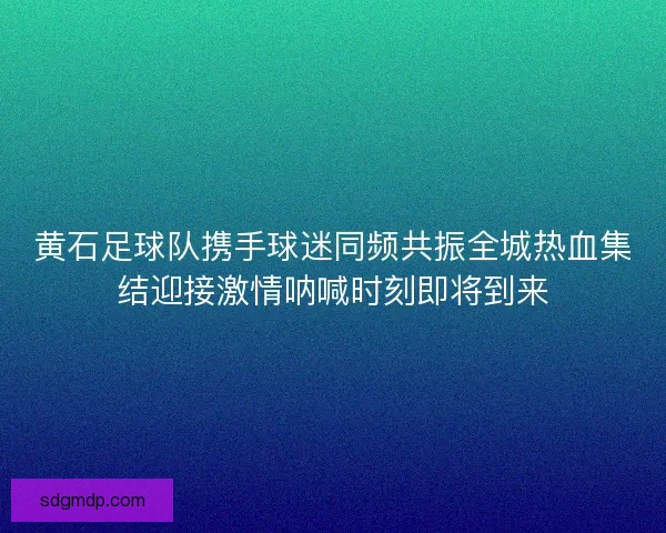 黄石足球队携手球迷同频共振全城热血集结迎接激情呐喊时刻即将到来
